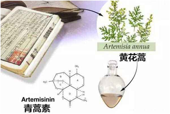 江南体育·官方网站,江南中国官方门户：向中医药看齐，与世界共享中医药文化(图1)